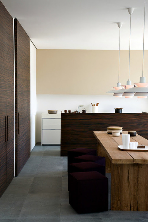 Masculine Dining Room Designs