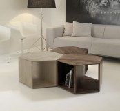 Minimalist And Functional Hexa Coffee Table