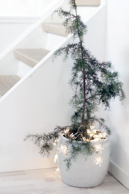 a small evergreen tree in a pot decorated with star shaped lights right in the pot is a simple and no fuss idea for a modern space
