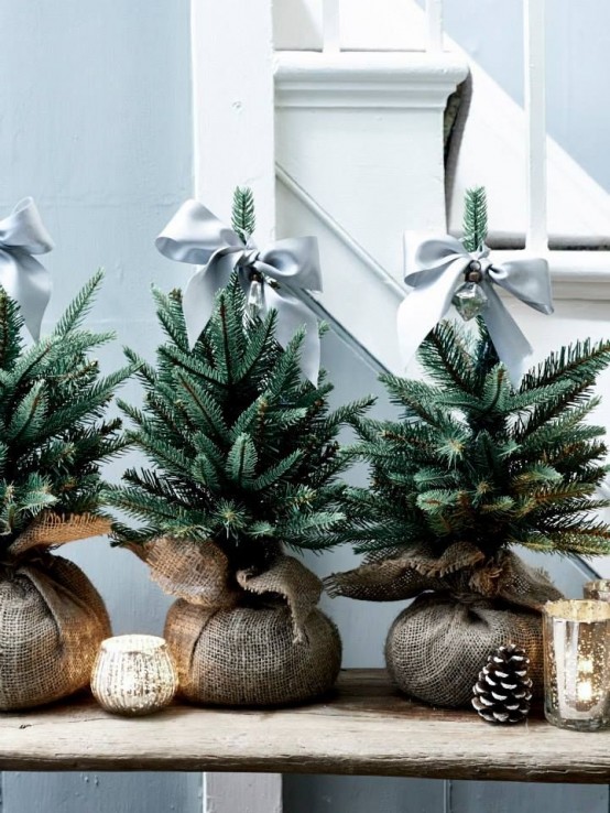 mini Christmas trees in burlap, with grey ribbons bows are a lovely idea for a modern farmhouse space and will do for a mid-century modern home