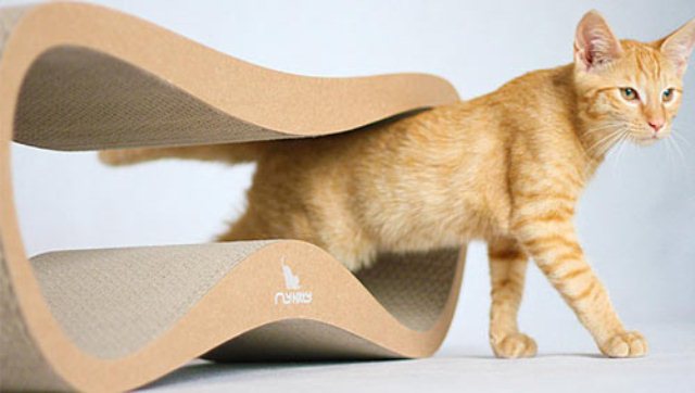 Minimalist And Stylish Cat Beds And Scratchers