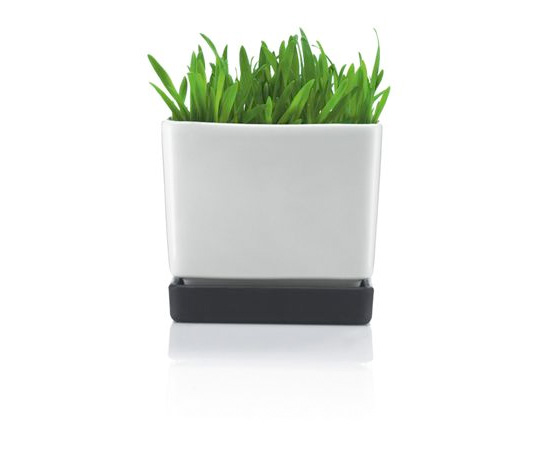 Minimalist Black White Flowerpots From Bodum