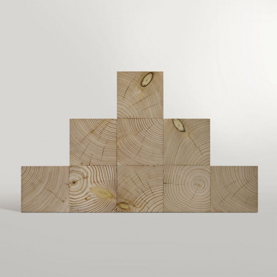 Minimalist Cubic Shelf Of Douglas Fir