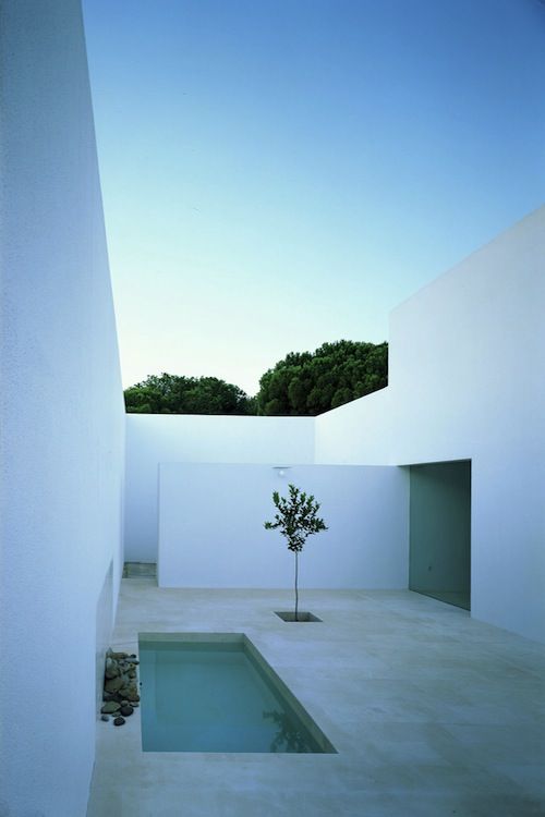 a minimalist inner backyard with a small pool, a gorwing tree and a concrete floor and nothing else as less is more