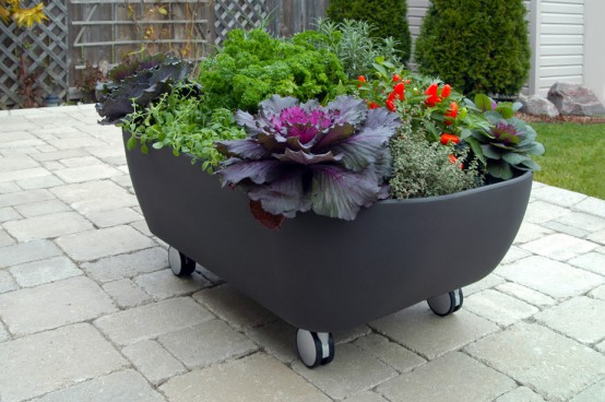 Mobile Tub Like Garden