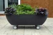Mobile Tub Like Garden