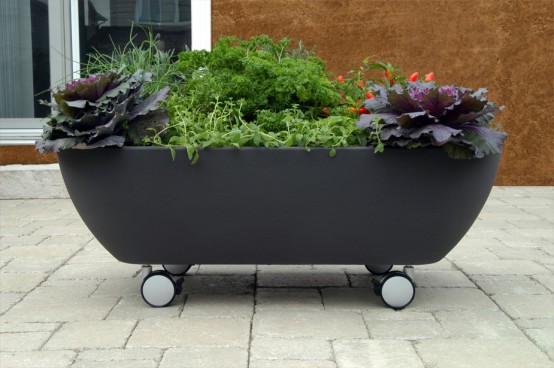 Mobile Tub Like Garden