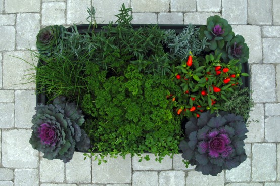 Mobile Tub Like Garden