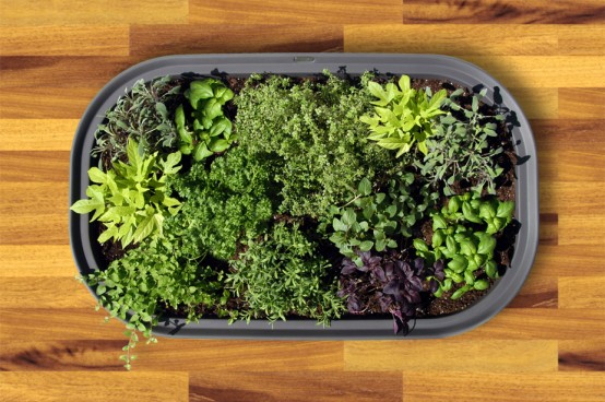 Mobile Tub Like Garden
