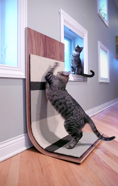 modern cat scratcher