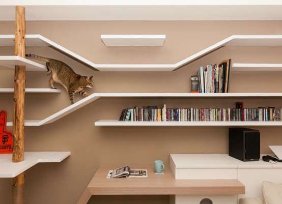 Modern Custom Shelving To Keep The Cat Happy