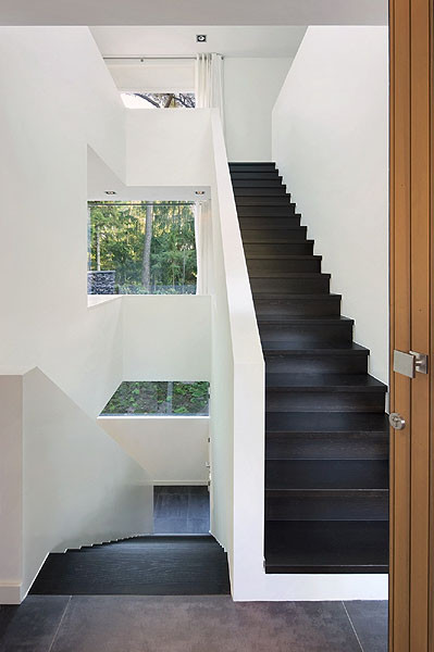 Modern Forest House