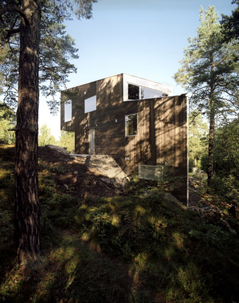 Modern House With Wooden Cladding