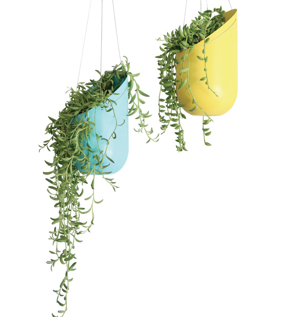 Modern Oval Planters