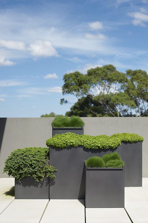 grey metal square planters of various heights look very minimalist and very chic at the same time