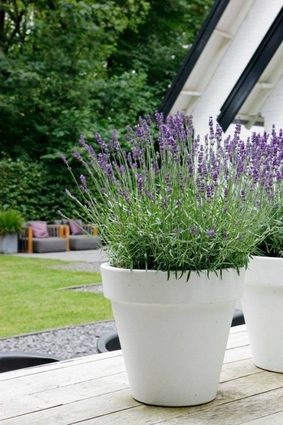 tall white planters shaped as usual ones with bright blooms look cool and fresh, the shape is traditional but the size is different