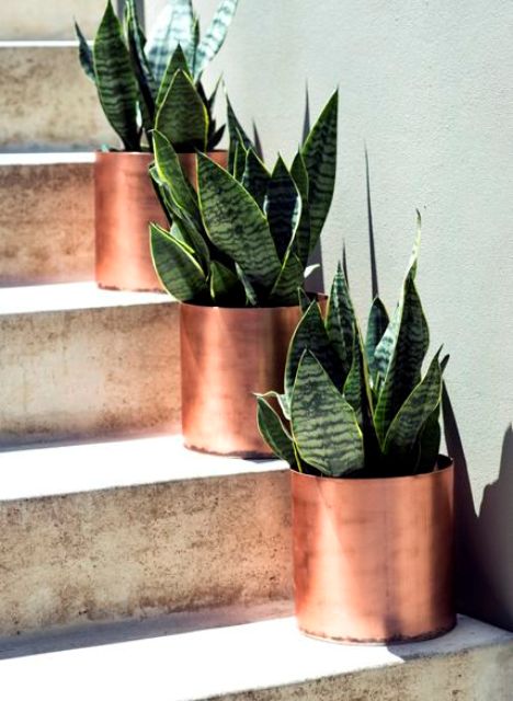 mini copper planters with succulents are perfect to line up the aisle or a path and they are sure to give a modern feel to your outdoors