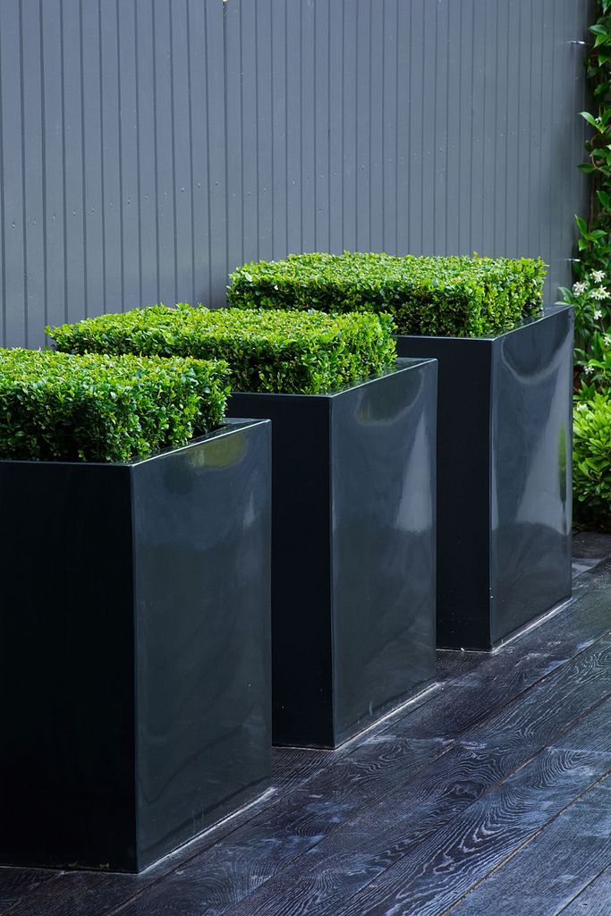 super sleek black square planters with square cut greenery are sure to bring a cool fresh and modern feel
