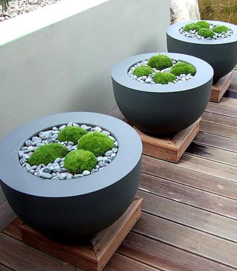 black bowl-like planters with wide edges, pebbles and moss look very bold, modern and edgy