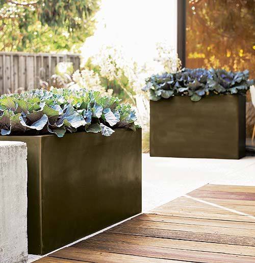 black porcelain planters will give an edgy feel to your outdoors and will make a statement with their color