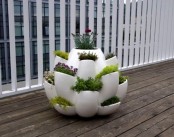 a white round planter with many mini planters with greenery is a very quirky modern piece