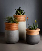 chic modern planters of concrete and wooden parts feature cool shapes and plenty of texture