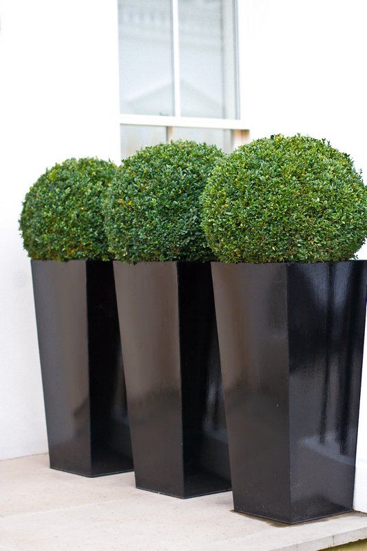 37 modern planters to make your outdoors stylish - digsdigs