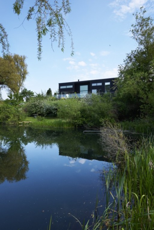 Modern Pop Art House Close To Nature