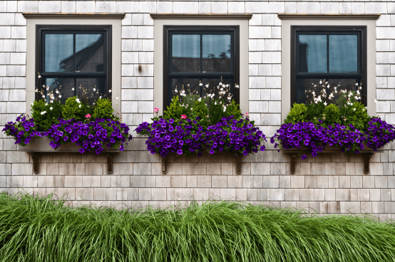 planter boxes with bright purple and white blooms will keep your spaces more private while adding beauty on the outside