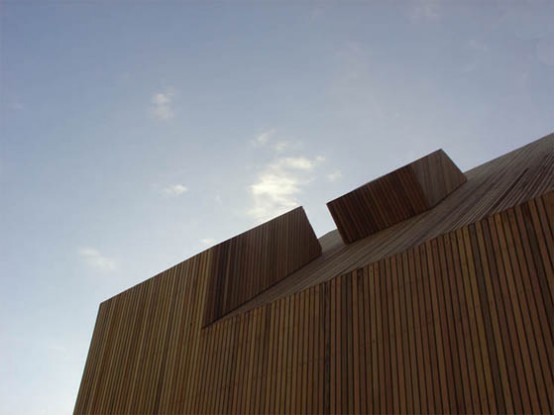 Modern Wooden House