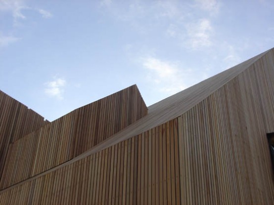 Modern Wooden House