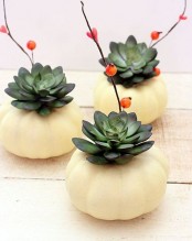 white pumpkins with succulents and berries on branches are nice for modern farmhouse Thanksgiving decor
