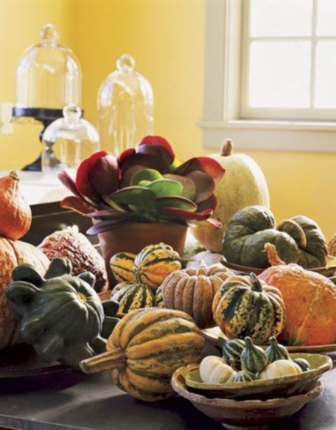 heirloom pumpkins and gourds can be used to compose some Thanksgiving decor or just a centerpiece, no additional decor needed