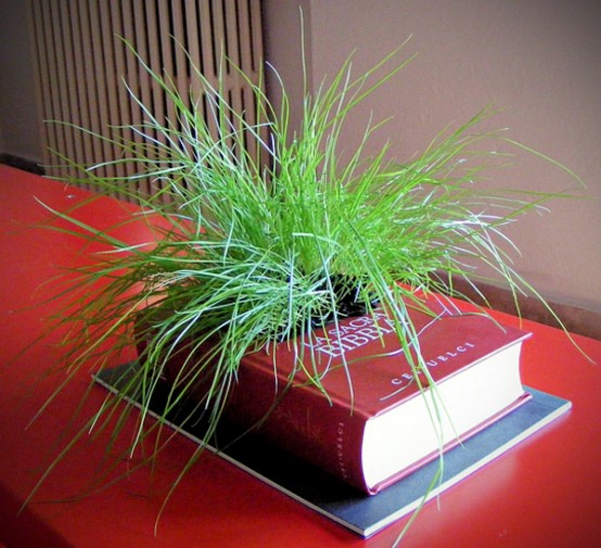 Decorative Planters Made of Old Recycled Books