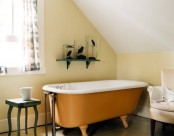 a rust-colored bathtub will accent your neutral space and add color to it, which means adding interest to the space, too