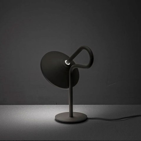 Original Round Lamp With A Looping Stem