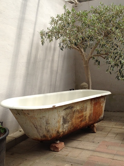 a shabby chic bathroom nook with a potted tree and a shabby chic bathtub