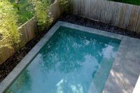 outdoor plunge pool with a stone deck