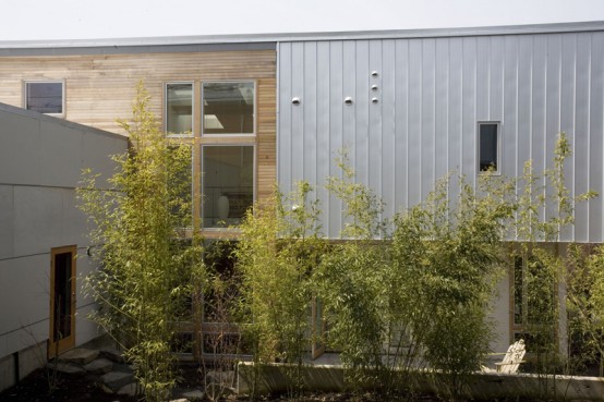 Pair Of Connected Row Homes With Bamboo Filled Courtyard