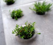 Paving Stones With Holes For Greenery
