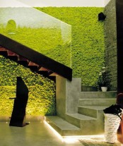 peaceful-indoor-living-wall-designs-for-any-home-10