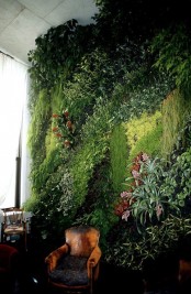 peaceful-indoor-living-wall-designs-for-any-home-12