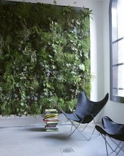 peaceful-indoor-living-wall-designs-for-any-home-13