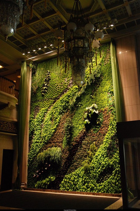 Peaceful Indoor Living Wall Designs For Any Home