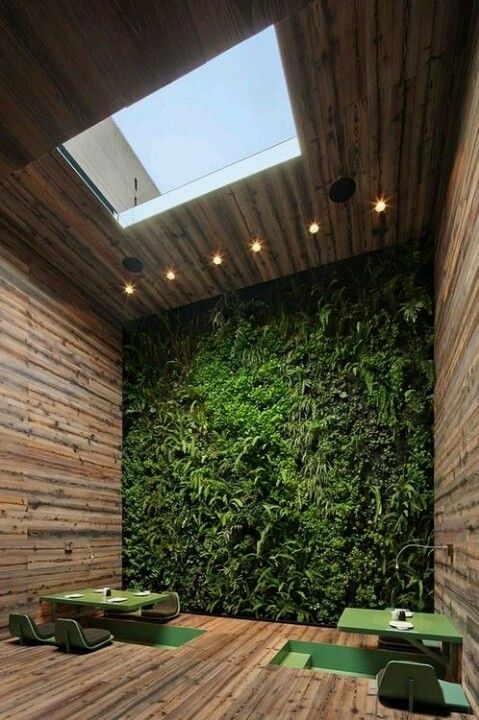 Picture Of peaceful indoor living wall designs for any home  15