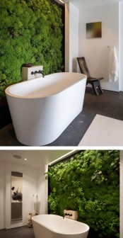 peaceful-indoor-living-wall-designs-for-any-home-5