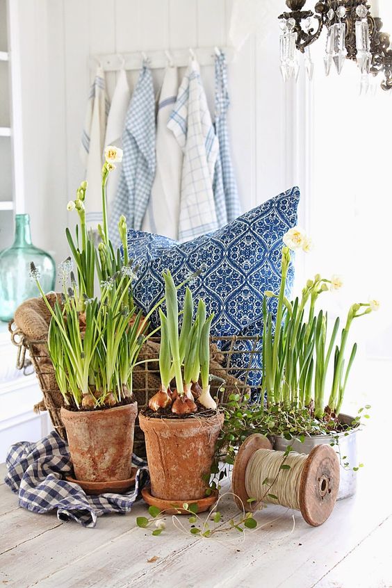 lovely and chic Scandinavian spring decor with potted bulbs, greenery and blue printed textiles in a wire basket