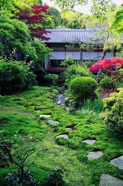 If you're growing moss in your garden you might want to add some stepping stones because it doesn't tolerate any foot traffic.