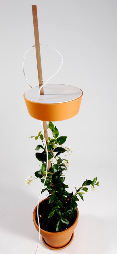 Planter With A Lamp