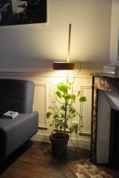 Planter With A Lamp